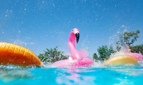 POOL PARTY Cover Image POOL PARTY Cover Image